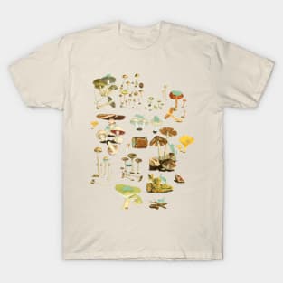 Feline Fungus! T-Shirt